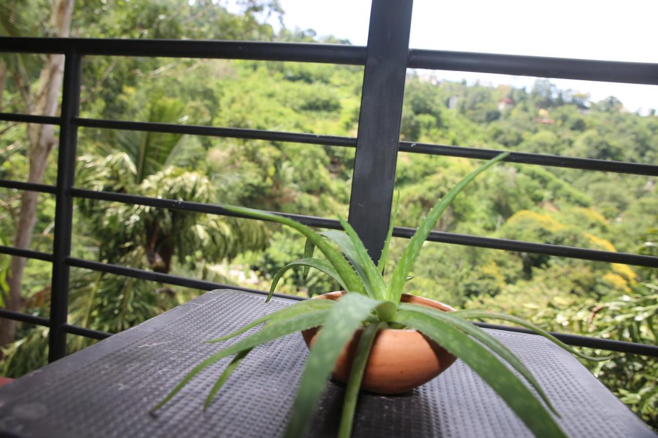 Rawana Mountain View Homestay Элла Экстерьер фото